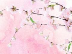 根據(jù)八字測另一半屬相 八字測另一半特征和性格