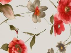 屬猴的屬相婚配大全,屬猴的屬相婚配宜忌