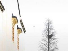 帶浩字好聽的名字