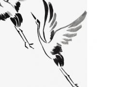 算命的說讓天不黑就睡覺什么意思 天不黑能燒紙嗎