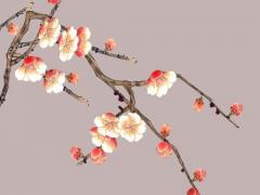 八字養(yǎng)代表什么意思 八字養(yǎng)子的標(biāo)志