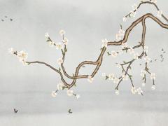 名字測試打分免費 周易起名網唯一官網免費