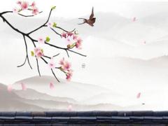 屬兔男生不能和哪些生肖配對 屬兔的男生不能和屬什么的人談戀愛