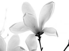 如何判斷兩個(gè)人有緣分 怎么判斷兩人有緣分