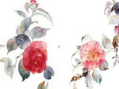 教育部最新開(kāi)學(xué)通知中小學(xué) 教育部關(guān)于中小學(xué)開(kāi)學(xué)的最新通知