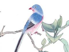 屬兔男適合的吊墜,屬兔男人佩戴什么可以增加好運