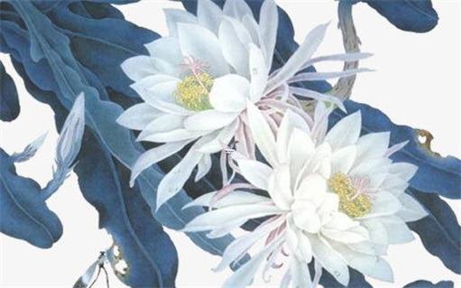 屬馬的財運貴人是什么屬相 屬馬生意上的貴人 屬馬的財運貴人是什么屬相 屬馬生意上的貴人