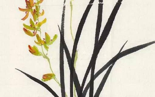 92年羊婚姻命運 92年屬羊人注定的婚姻 92年羊婚姻命運 92年屬羊人注定的婚姻