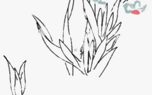 八字命理偏財(cái)在月柱說(shuō)明什么 偏財(cái)在月柱的男人