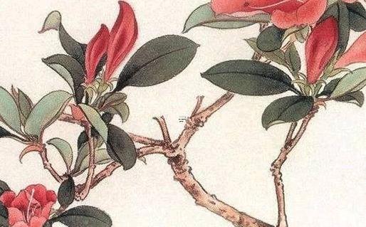 生肖配對屬相婚配十二生肖 生肖配對詳解 生肖配對屬相婚配十二生肖 生肖配對詳解