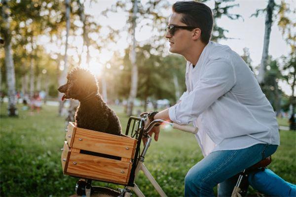 明星面相分析:范冰冰面相好嗎,范冰冰面相分析命理 明星面相分析:范冰冰面相好嗎,范冰冰面相分析命理