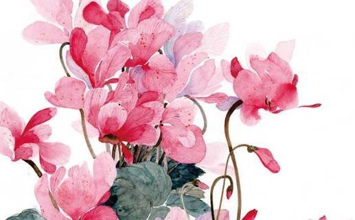 孤獨(dú)高冷的名字年少輕狂