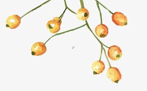 最新校園類型群名字 好聽的校園群名 最新校園類型群名字 好聽的校園群名