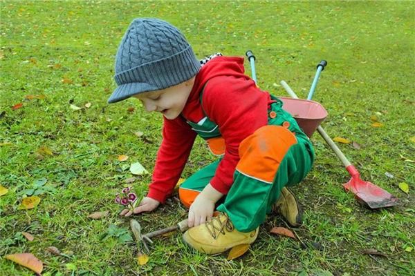 夢見生豬肉是什么意思 夢見生豬肉是什么意思