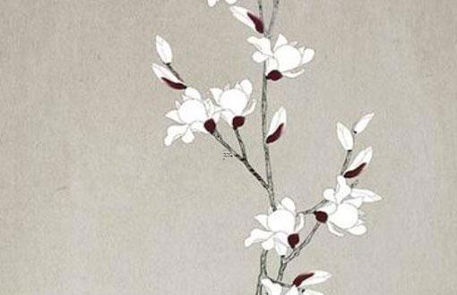 屬蛇六月出生是什么命 屬蛇六月出生的人命運怎么樣 屬蛇六月出生是什么命 屬蛇六月出生的人命運怎么樣