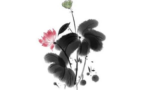 婚姻中對對方畢恭畢敬的四大生肖男 畢恭畢敬的動物是什么動物 婚姻中對對方畢恭畢敬的四大生肖男 畢恭畢敬的動物是什么動物