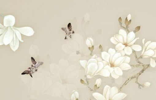 2023屬雞的全年運(yùn)勢(shì)1981，2023屬雞的全年運(yùn)勢(shì)和財(cái)運(yùn)