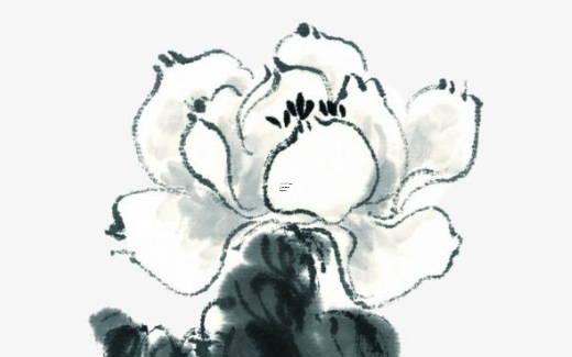 甲午時生的最忌婚配屬虎 甲午時好不好 甲午時生的最忌婚配屬虎 甲午時好不好