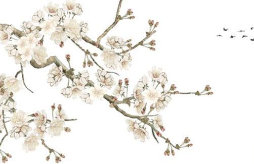 屬虎的所有出生年份表 屬虎的出生年月和歲數