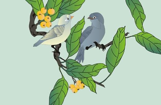 白羊座是哪種人 白羊座的人是什么星座