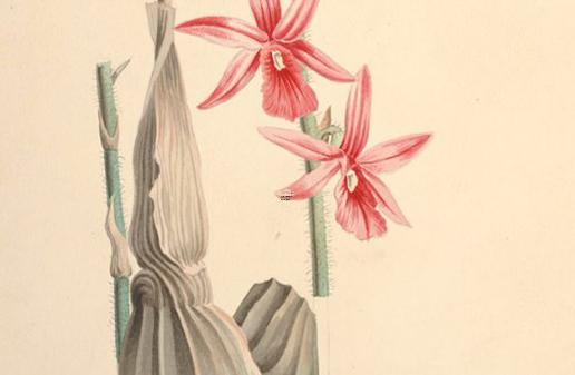 請各位大師按命理批下此八字 算命先生批八字 請各位大師按命理批下此八字 算命先生批八字