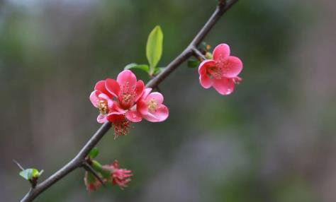 夢(mèng)見(jiàn)胎動(dòng) 胎夢(mèng) 夢(mèng)見(jiàn)胎動(dòng) 胎夢(mèng)