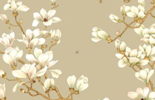 屬羊男喜歡比自己大的女人嗎 屬羊男愛老婆還是愛情人