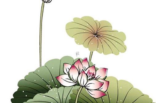 屬兔的上半年貴人屬相2023年怎么樣,屬兔的上半年貴人屬相2023年是什么