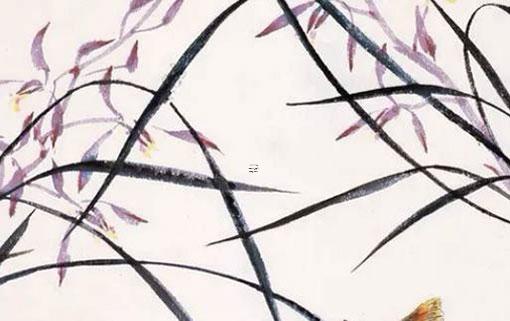 八歲上運算命什么意思 8歲上運比較好不好