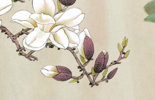 現在運氣不好如何化解 近來運氣不好怎么轉運 現在運氣不好如何化解 近來運氣不好怎么轉運