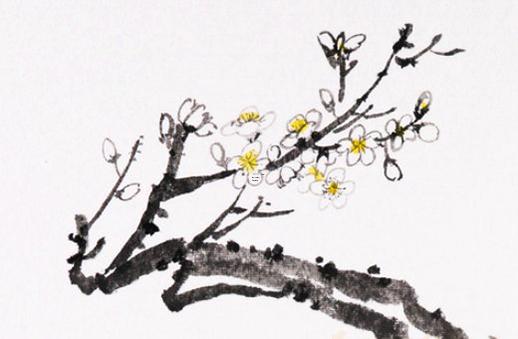 八字四柱都屬火的人如何 八字有四火