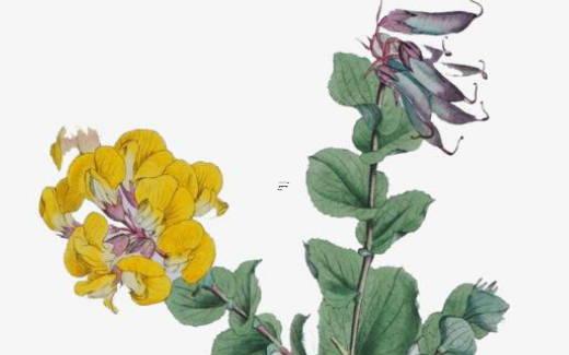 八字格局天地中分 天地中分格的人 八字格局天地中分 天地中分格的人