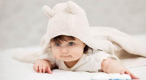 夢(mèng)見樹籬 夢(mèng)見樹籬