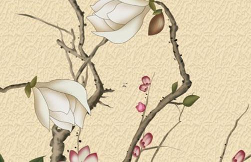 屬虎人戴什么最旺身體,屬虎人戴什么首飾好 屬虎人戴什么最旺身體,屬虎人戴什么首飾好