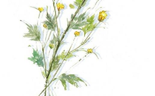 好聽有個性的獨一無二網名哦 好聽有個性的獨一無二網名哦