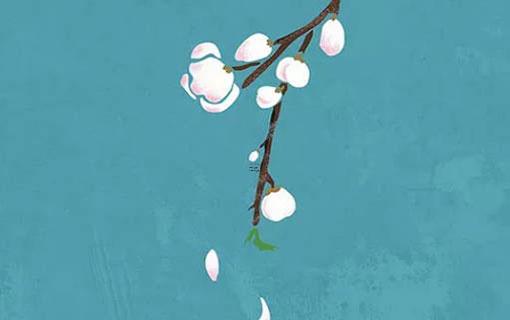 算命說鳳凰臺什么意思 算命說鳳凰命是什么意思 算命說鳳凰臺什么意思 算命說鳳凰命是什么意思