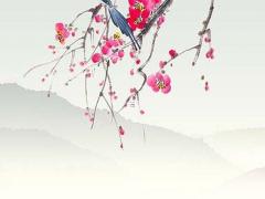 本命年龍和兔的婚姻好嗎,本命年屬龍可以結婚嗎