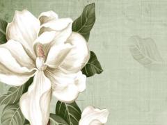 一段感情要結(jié)束的征兆圖片 一段感情要結(jié)束了的征兆