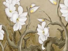 兔本命年女士佩戴什么好運,屬兔女本命年戴什么轉運