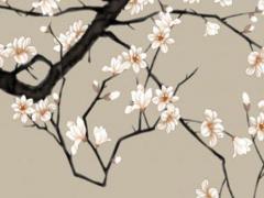 念三遍就馬上發偏財咒語一 想發偏財念什么咒語