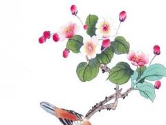 12生肖2023年運程蘇民峰,2023年生肖運勢蘇民峰