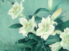 屬虎人永久吉利的數(shù)字 62年屬虎人永久吉利的數(shù)字