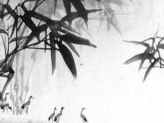 屬蛇的忌什么屬相 屬蛇的人忌什么屬相