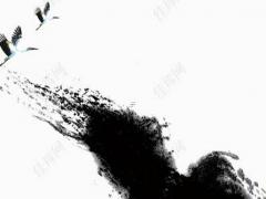 鼠和虎相克嗎 鼠和虎相沖嗎相克嗎