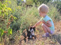 由體形看人富貴貧賤,體相看富貴女