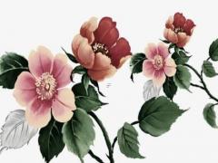 八字連接環優缺點 八字環連接的方法