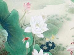 77年屬蛇45歲后怎么樣 77年屬蛇44歲是什么命