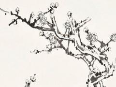 妻子比丈夫大5歲好嗎 妻子比自己大五歲