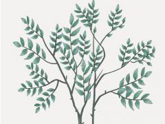 八字浮財是什么意思 八字浮板的作用