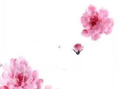 男八字有四個偏財 四柱四個偏財什么意思男命